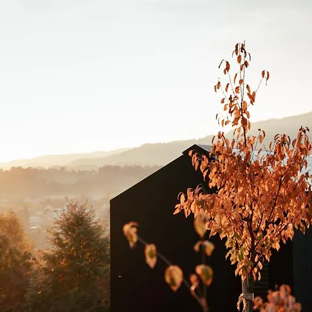 Hapfn Tiny Mit Hot Tub Vakantiehuis